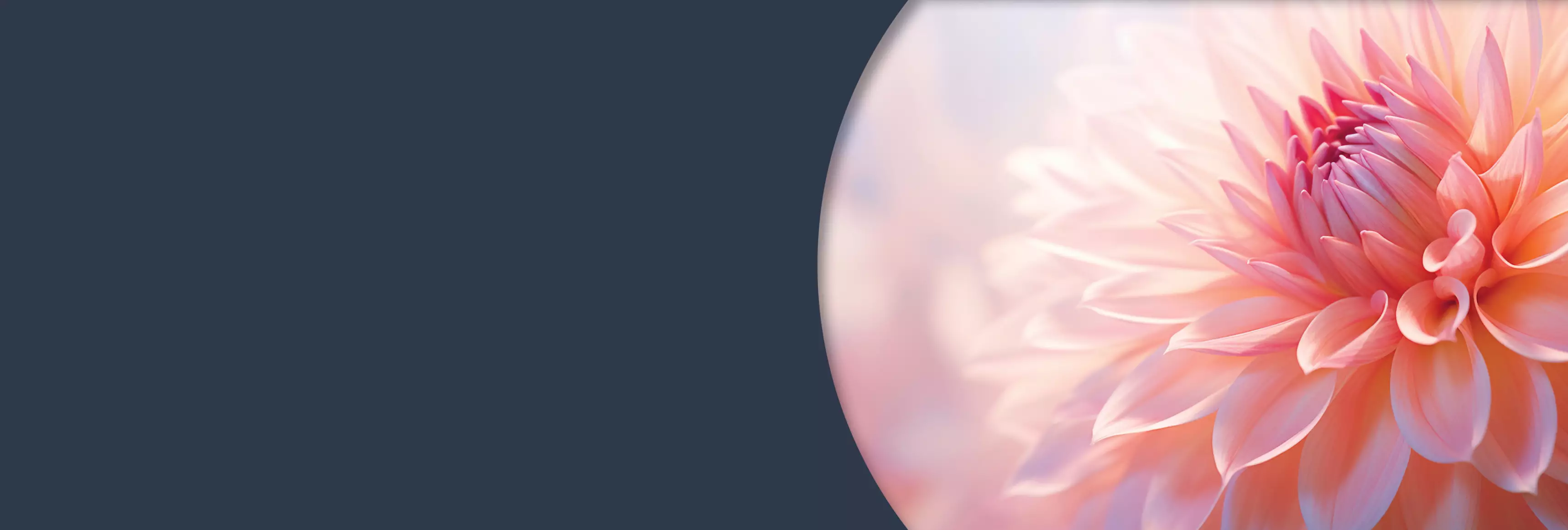 Une équipe à votre écoute